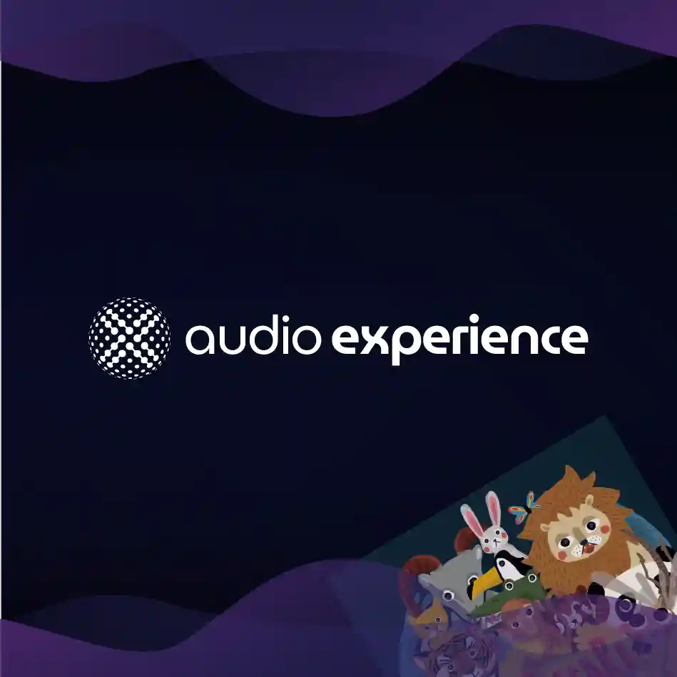 Audio Experience