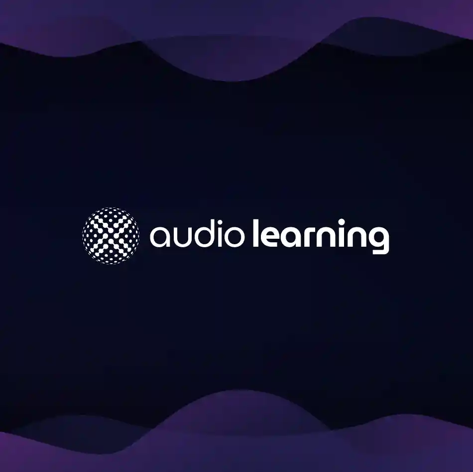 Audio Learning